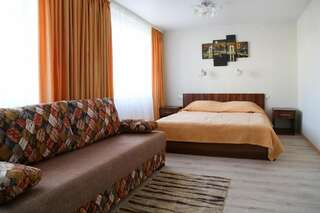 Отель Shchara Hotel Slonim Двухместный номер с 1 кроватью-7